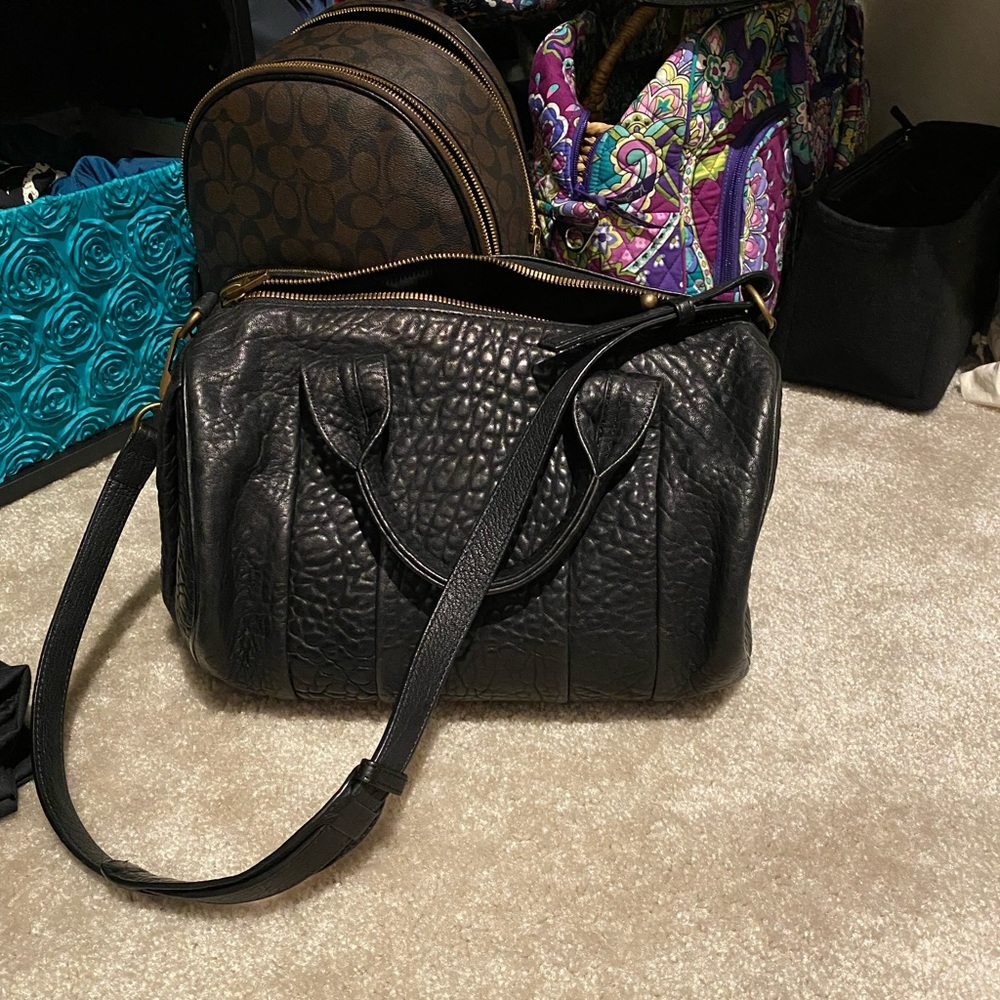 🥳 Alexander Wang Rocco Bag